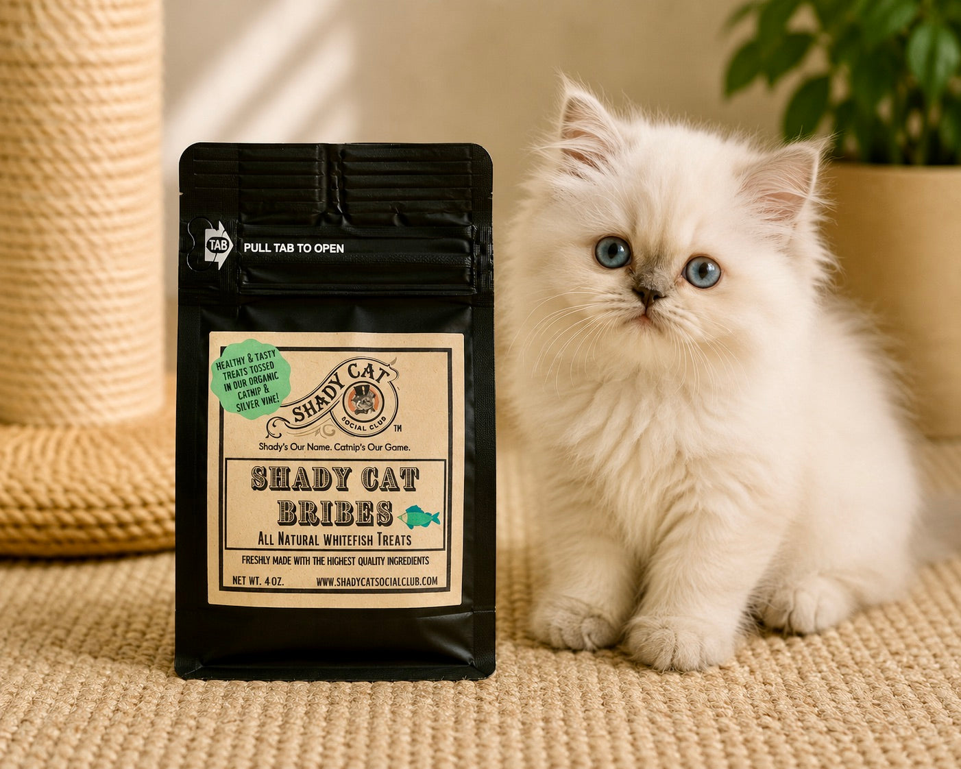 Kitten sitting next to a bag of Shady Cat Bribes treats on a textured surface.