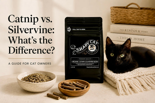 Catnip vs. Silvervine: What's the Difference? A Guide for Cat Owners
