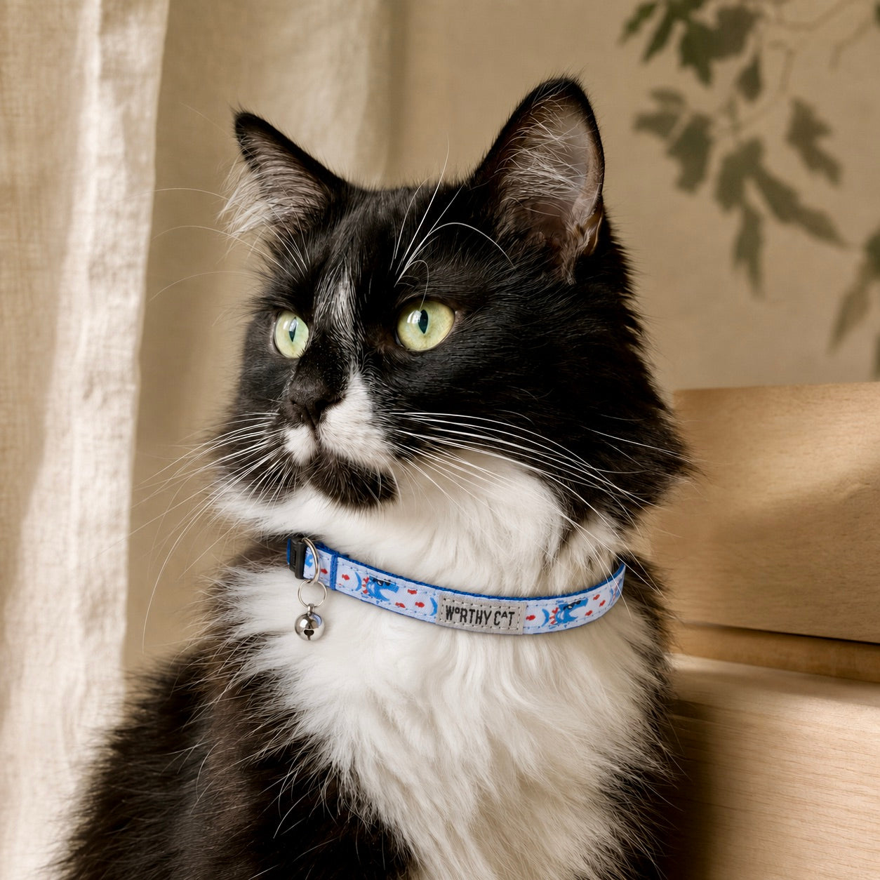Cat Collars