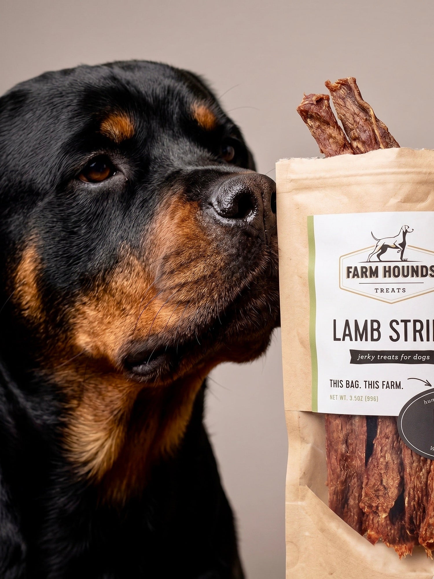 Premium Dog Treats