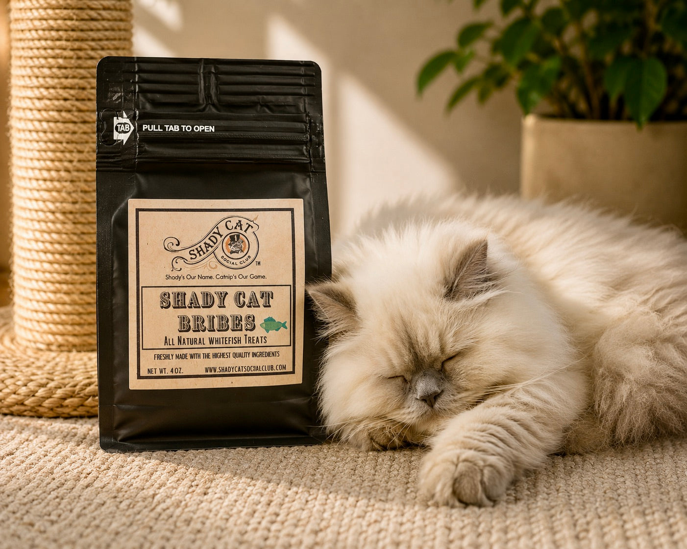 Premium Cat Treats