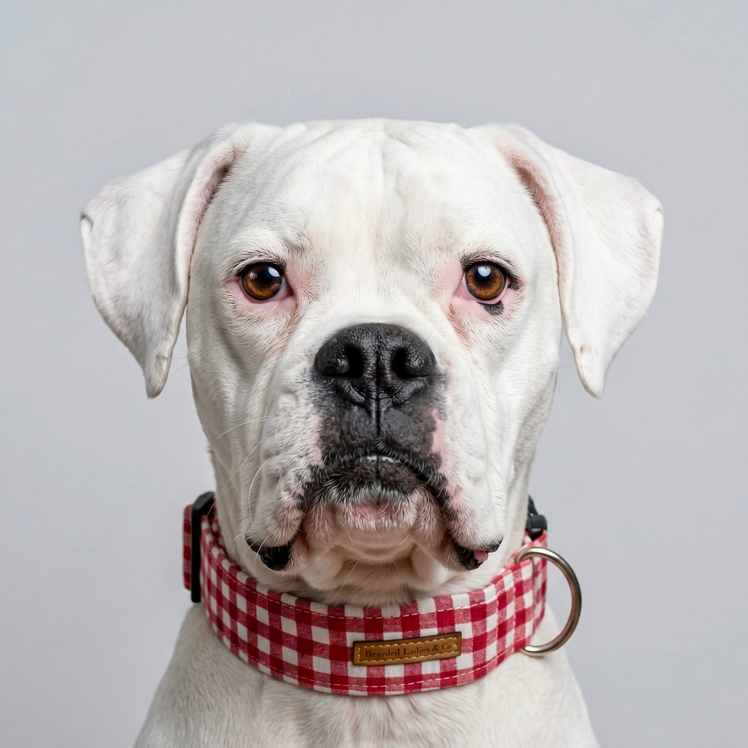 Collars