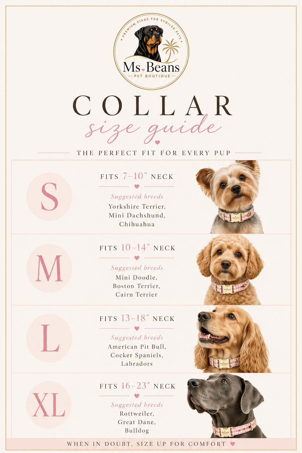 The Essential Dog Collar