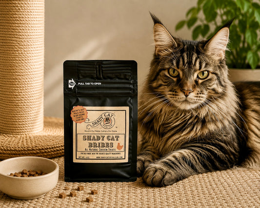 Shady Cat Bribe Treats | Calming Chicken