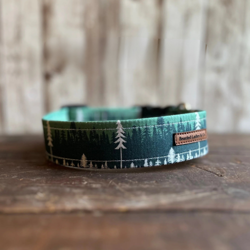 The Trailblazer Dog Collar