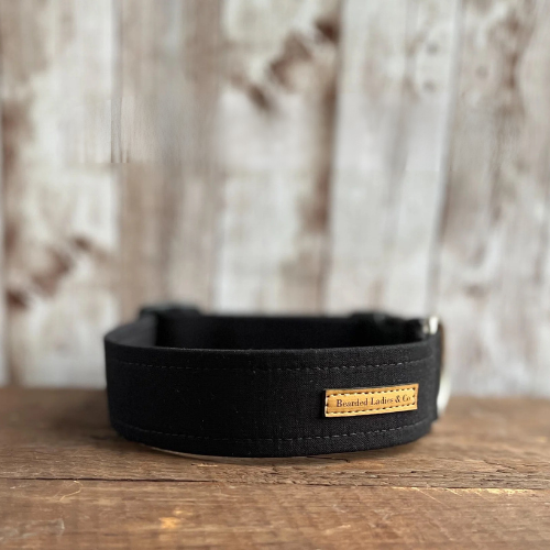 The Essential Dog Collar