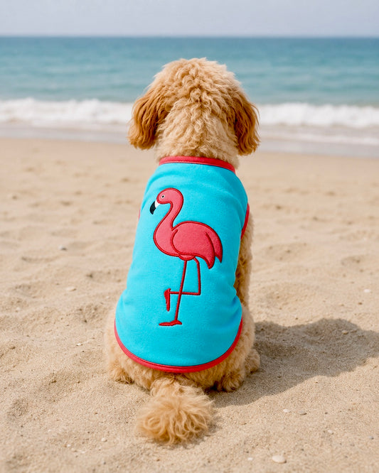 Seaside Flamingo Shirt | Tropical Aqua Pet Tee