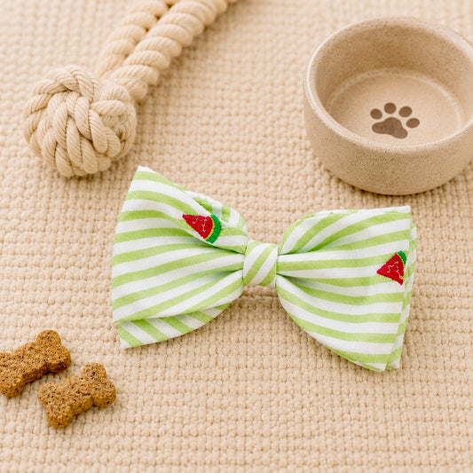 Watermelon Sugar Bow Tie | Fresh Stripe Boutique Design
