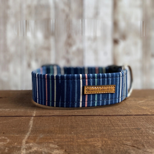 The Seaside Prep Dog Collar