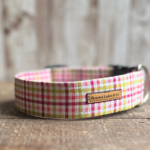Sunday Brunch Dog Collar