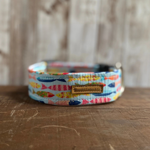 Tropical Fish Dog Collar