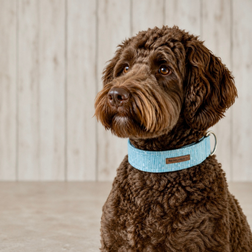 Sea Glass dog collar with blue and striped pattern inspired by the colors of the coast.